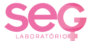 Laboratorio Seg